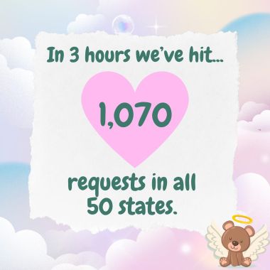 I am speechless.

#pregnancyloss #pregnancyandinfantloss #grief #atouchofteddy #nonprofit #stillborn #lossmom