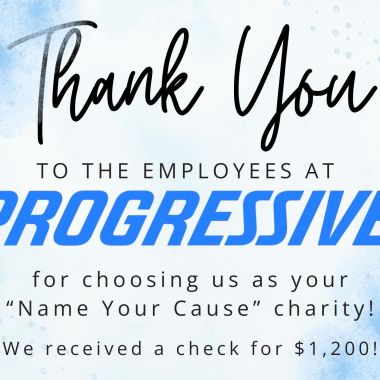 Thank you simply doesn’t feel like enough!!! Thank you so much to our friends at @progressive for supporting our little mission! I don’t get a list of who to personally thank, but sending hugs to everyone who nominated us, we are so thankful!!