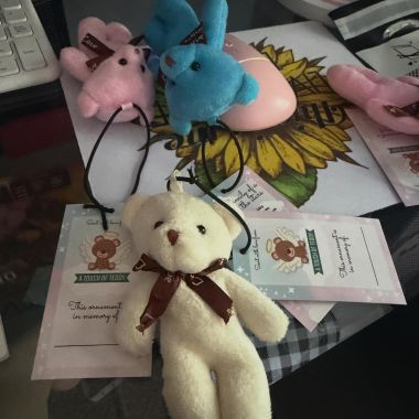 Can I get my bears now? Yep, sure can, for a small cost! ALL proceeds from these and anything on my site go back into the mission to cover costs for October bears (supplies and shipping funds!) 🧸 they can be grabbed right on my site!